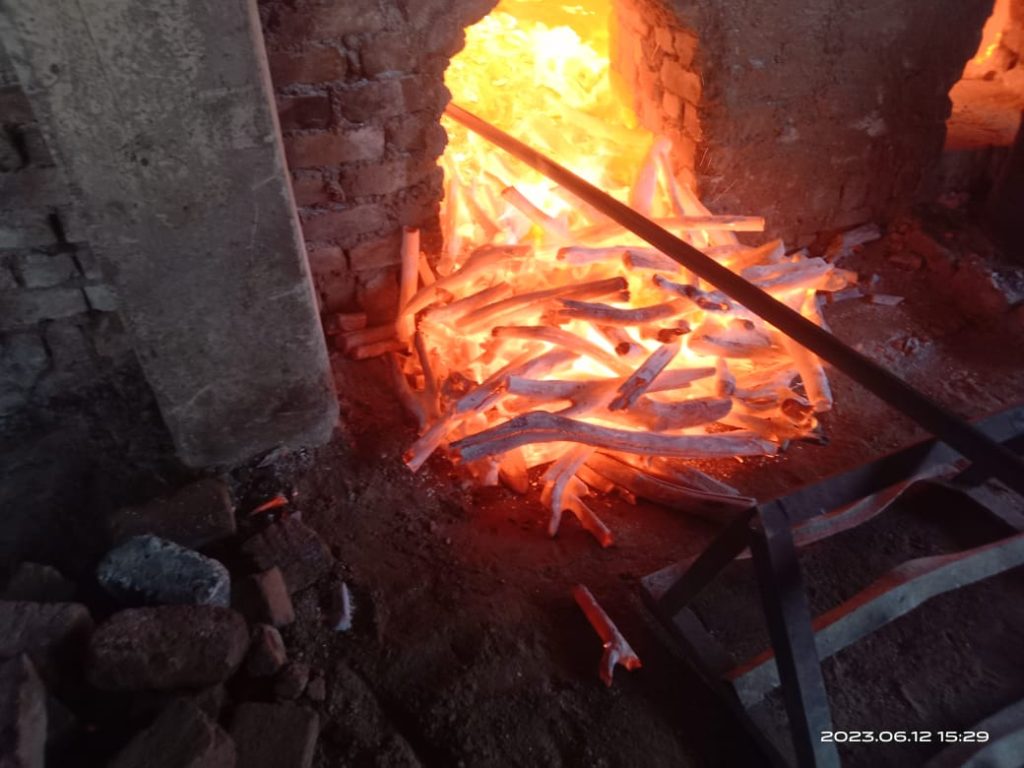 whatsapp image 2024 10 16 at 15.35.01